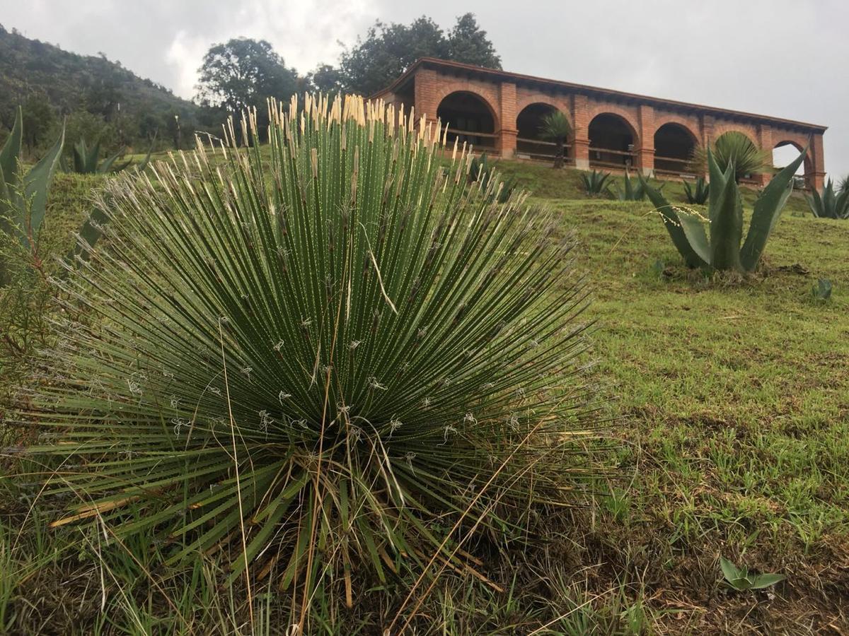 Rancho Escondido Casa Goyri Hotel Tlaxco Buitenkant foto